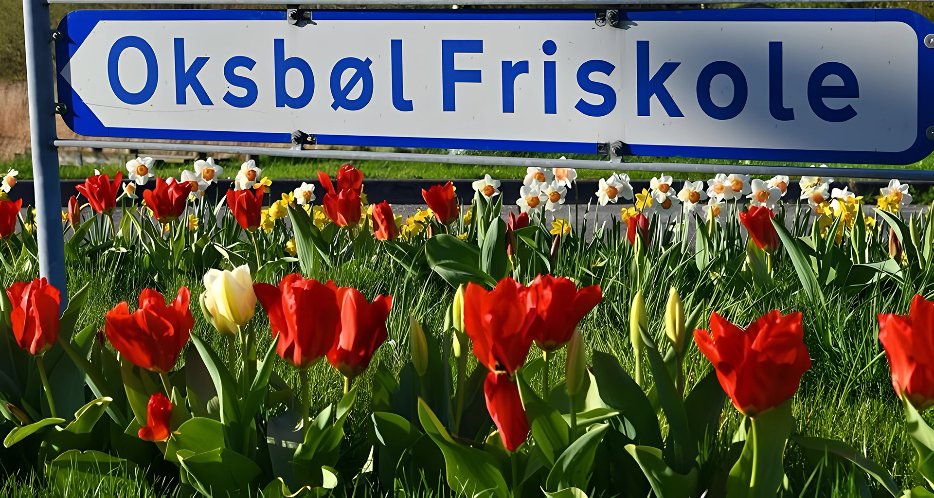 Forside